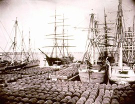 Whaling ships and oil casks, New Bedford MA, 1870