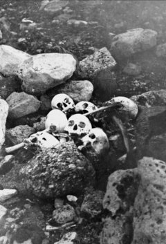 Remains of the Franklin Party, King Williams Island, 1945 