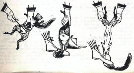 skinning a squirrel Skinning a squirrel, Joy of Cooking, 1962