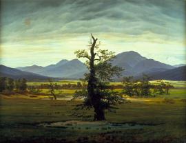 solitary tree caspar david friedrich 1822
