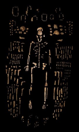 Homo_naledi-novataxa_2015-Berger-Hawks-deRuiter-Churchill-et-al_robert_clark