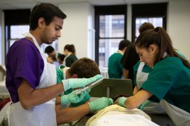 IV-AA509_ANATOM_P_20131007111729