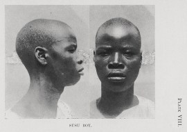 Plate_VIII_N_W_Thomas_Anthropological_Report_on_Sierra_Leone_Susu_Boy_Momo_Samura_re-entanglements.net_