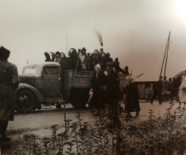 1_IQz5IBzHJJM3GHbmGEkQrw