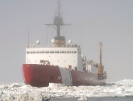 CGCPolarStar_gray_sm