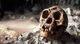 secret-chamber.jpg-ns